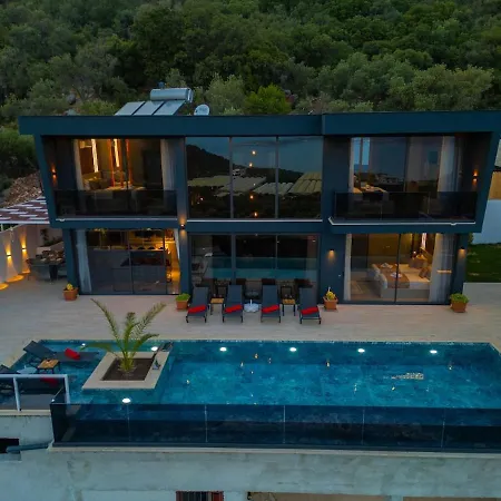 Villa Dark Palace