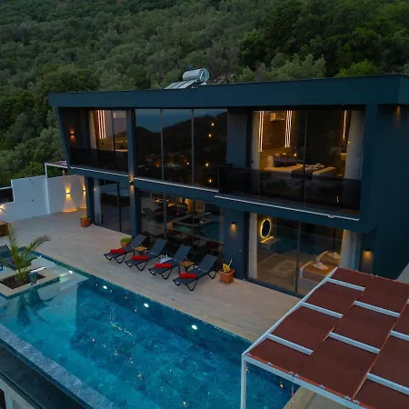 Villa Dark Palace *