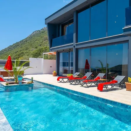 Villa Dark Palace