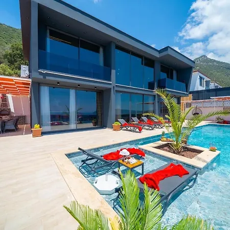 Dark Palace Villa *